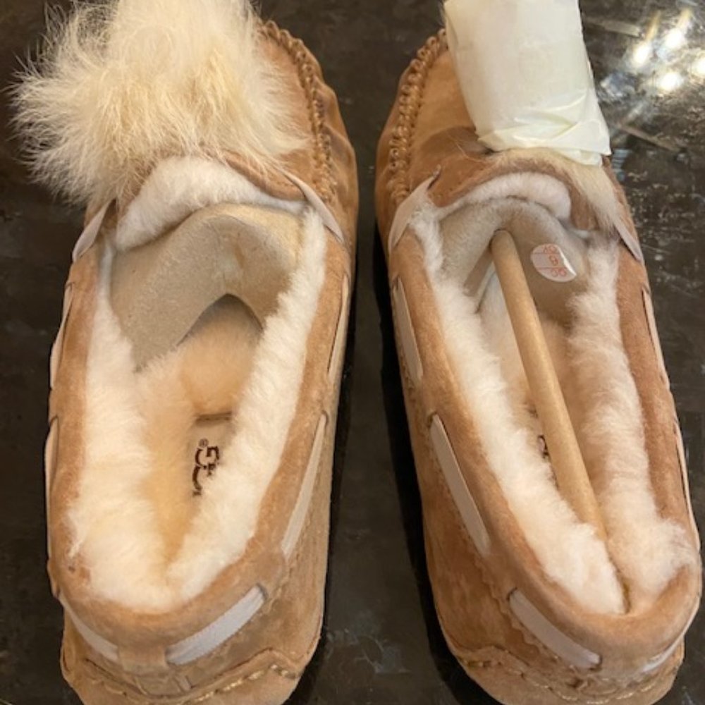 New in box Ugg Dakota Pom Pom Slipper